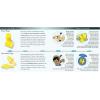image3M Ear Plugs EARsoft Yellow Neons 3911004 Bottle of 500 Pair of Disposable Earplugs Regular Size Uncorded 33 NRR Tapered Cylinder Shape Slow Recovery FoamCorded