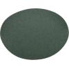 image3M Green Corps Hookit Sanding Discs 01545 No Hole 5 in 40 Grade Pack of 100 Production Discs for Coating Removal Metal Surfaces Auto Sanding8